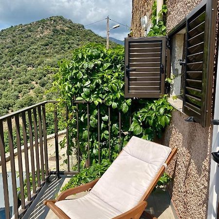 Studio Terrasse Vue Mer Clim Wifi Parking Partinello المظهر الخارجي الصورة
